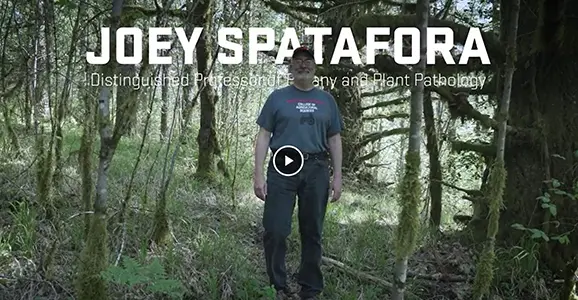 Joey Spatafora, Distinguished Professor video